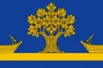 Flag of Dubovsky District
