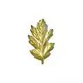 Navy Nurse Corps insignia
