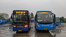 Two Trans Metro Pasundan bus fleets, each operated by Big Bird (left) and Perum DAMRI (right)